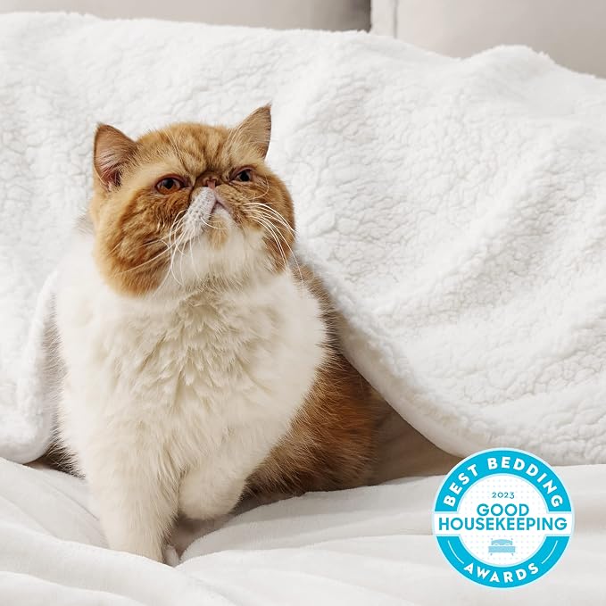 Bedsure GentleSoft Sherpa Fleece Throw Blanket - Image 2