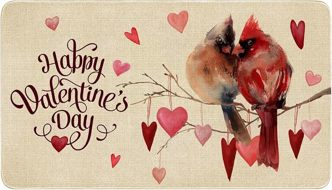 Valentines Day Door Mat, Cardinal Birds Love Hearts Indoor Outdoor Non-Slip by Xsinufn
