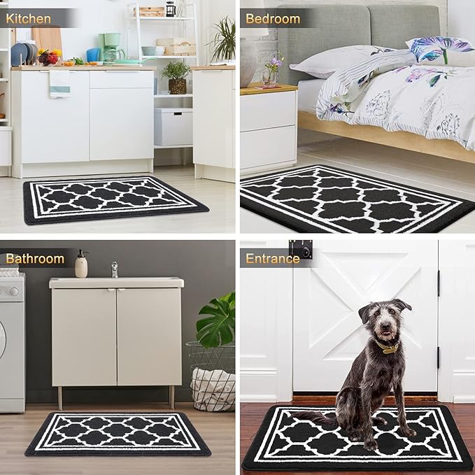 Buganda Indoor Door Mat, Dirt Resistant and Absorbent Entrance Mat, Low Profile - Image 6