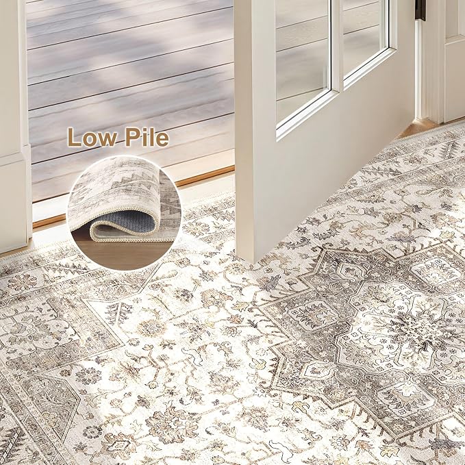 Vintage Living Room Area Rug 2x3 - Image 4