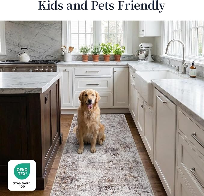 2x4 Area Rug for Entryway: Low Pile Washable Rug - Image 3