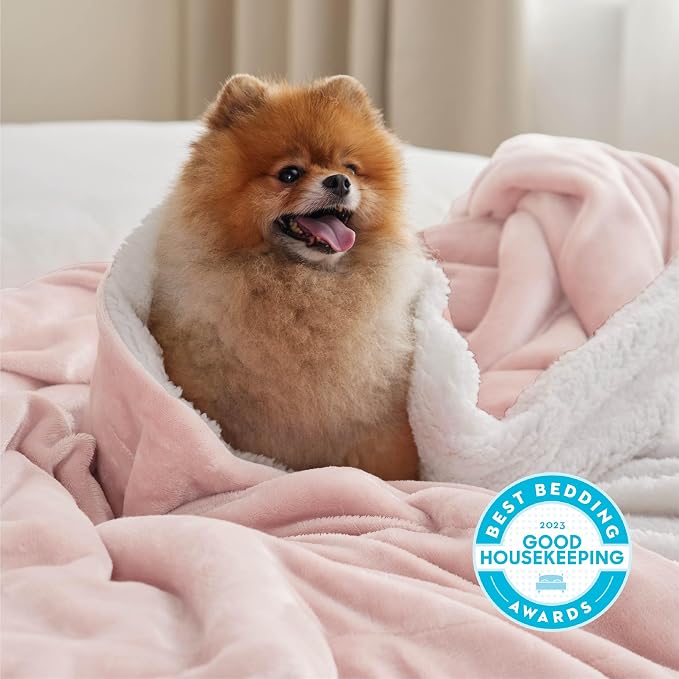 Bedsure GentleSoft Sherpa Fleece Throw Blanket - Image 2