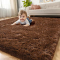 Amdrebio Dark Brown Area Rugs for Bedroom Living Room, Fluffy Shaggy Plush 4x6 by Amdrebio