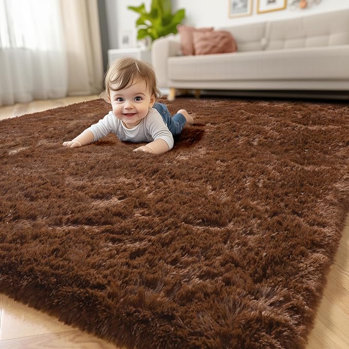 Amdrebio Dark Brown Area Rugs for Bedroom Living Room, Fluffy Shaggy Plush 4x6 by Amdrebio