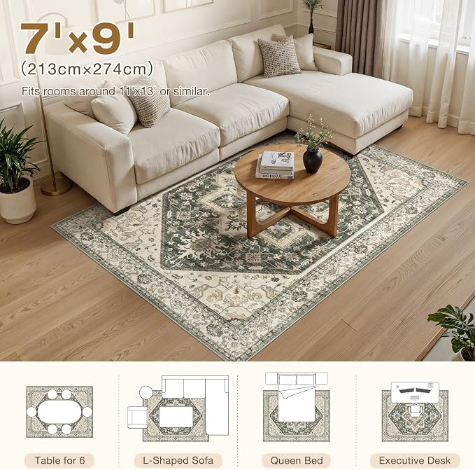 Area Rug for Living Room - Image 9