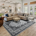 Area Rug for Living Room, Machine Washable Grey Rugs for Bedroom, 4x6Ft by Rtizon