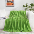 Puncuntex Flannel Fleece Throw Blanket Apple Green 60"×80", Super Soft Plush by Puncuntex