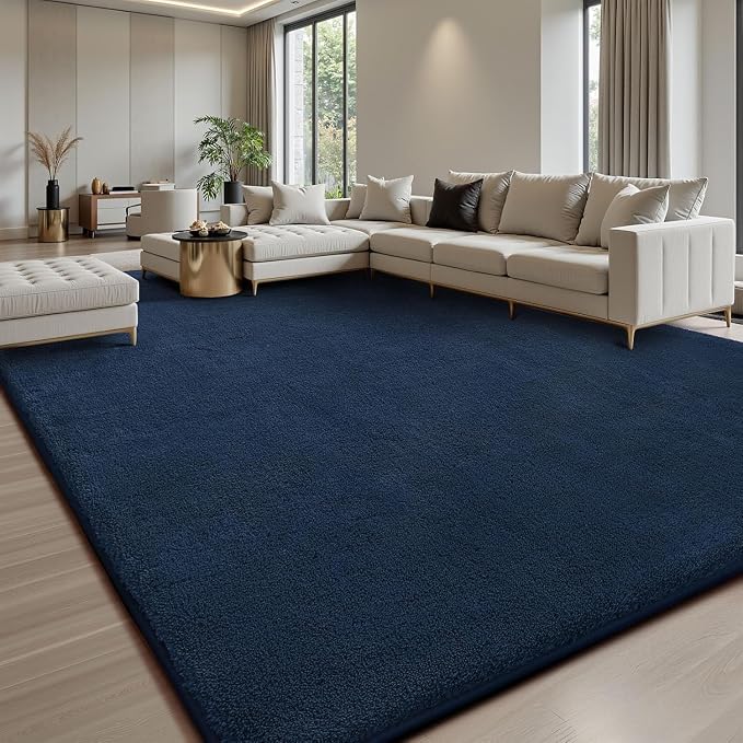 Sour Lemon 4x6 Area Rugs for Living Room, Soft Area Rug Fluffy Rugs for by SourLemon