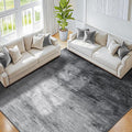 LIANLAM Washable Rug 5x7 Area Rugs by LIANLAM