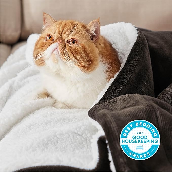 Bedsure GentleSoft Sherpa Fleece Twin Size Blanket - Image 2
