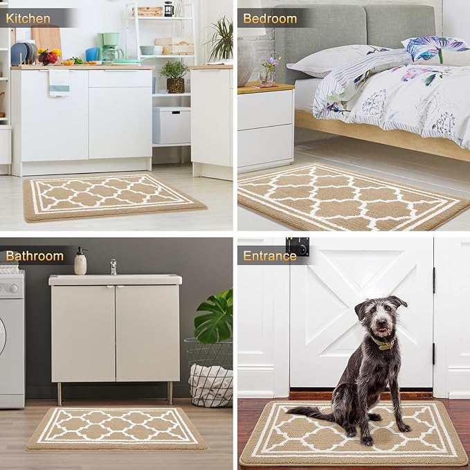 Buganda Large Indoor Door Mat, Dirt-Resistant and Absorbent Doormat, Low - Image 6