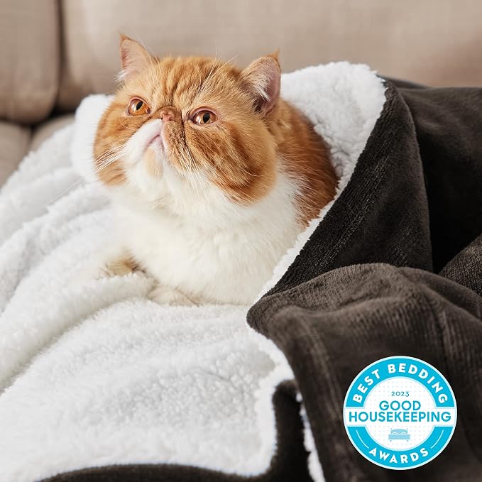 Bedsure GentleSoft Sherpa Fleece Blankets King Size - Image 2