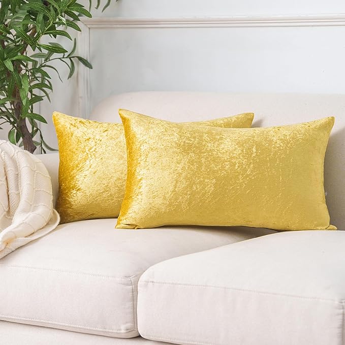 NiNi ALL Decorative Throw Pillow Covers Pack of 2, Velvet Throw Pillow Cases by NiNiALL