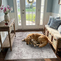 4 Square Area Rug: Washable Low Pile Carpet by Puino