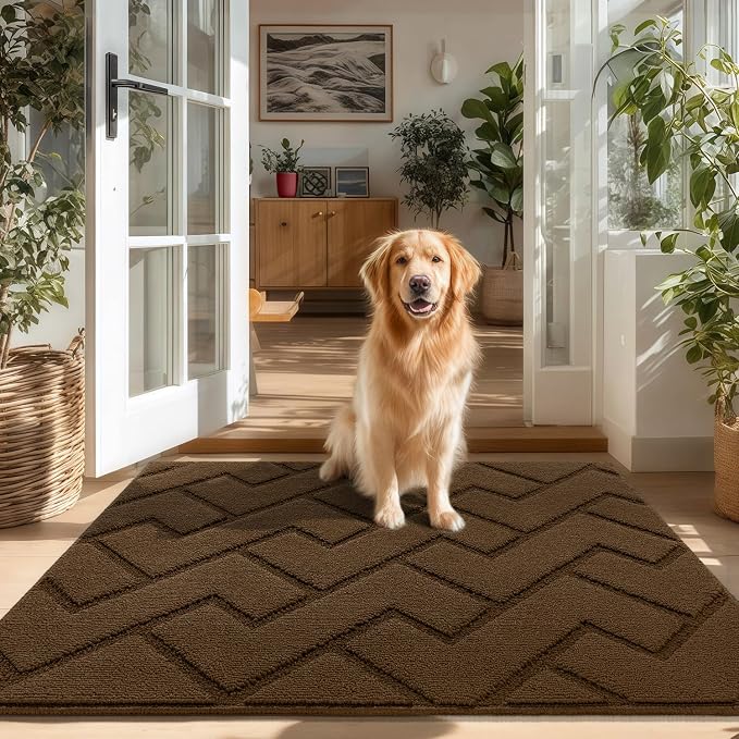hicorfe Indoor Door Mat, Non Slip Door Mats, Absorbent Resist Dirt Entrance by Hicorfe