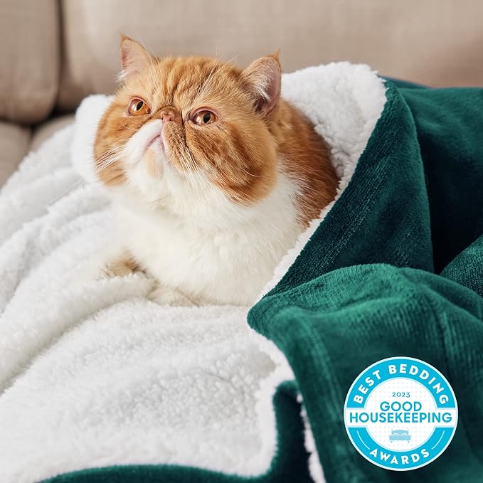 Bedsure GentleSoft Sherpa Fleece Throw Blanket - Image 2
