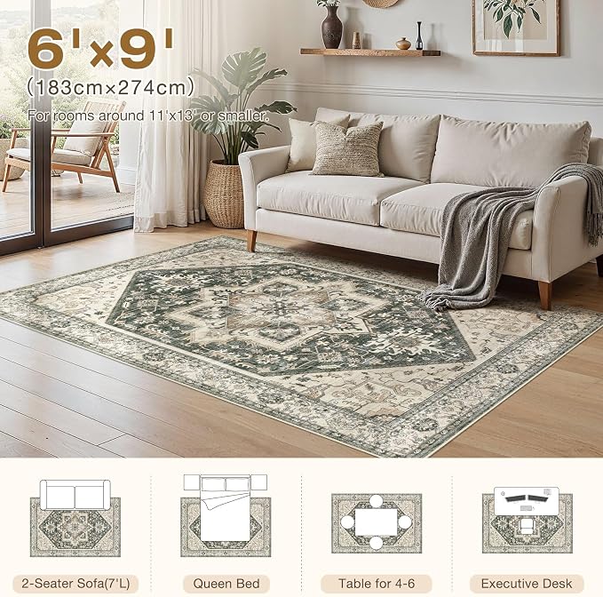 Area Rug for Living Room - Image 9