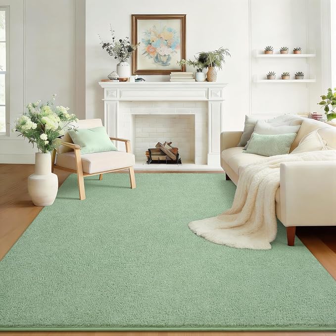 Soft Rugs for Living Room 4x6 Light Green, Modern Area Rug for Bedroom Nursery by BBENRON