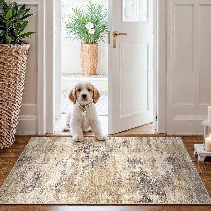 Washable Non-Slip 2x3 Area Rug by EISUROM