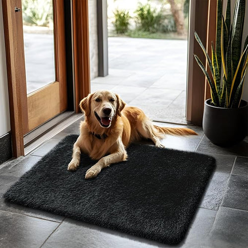 2x3 Fluffy Area Rugs for Bedroom Living Room, Small Soft Shag Fuzzy Rug by yulidayang