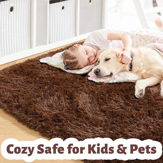 Amdrebio Dark Brown Area Rugs for Bedroom Living Room, Fluffy Shaggy Plush 4x6 - Image 2