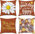Hexagram Spring Summer Pillow Covers 18x18 Set of 4, Outdoor Floral Daisy by Hexagram