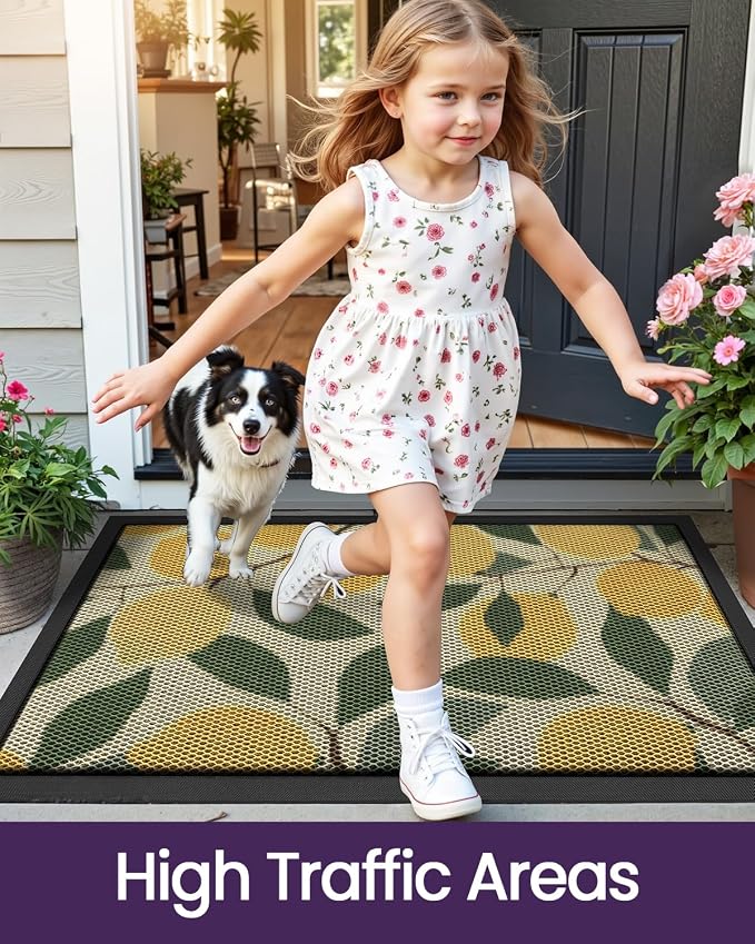 DEXI Front Door Mat Outside Entrance, 3x5 Lemon Welcome Doormat, Non Slip Dirt - Image 8