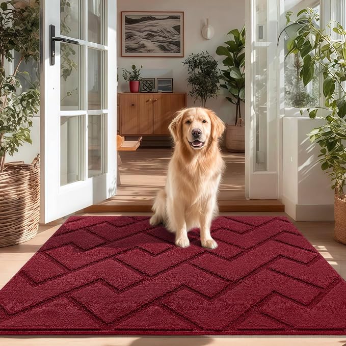 hicorfe Indoor Door Mat, Non Slip Door Mats, Absorbent Resist Dirt Entrance by Hicorfe