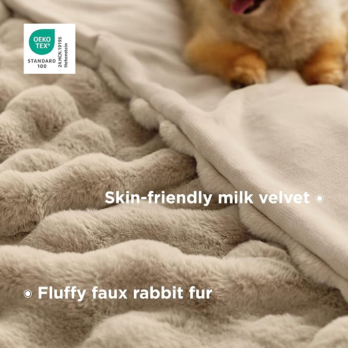 Bedsure GentleSoft Fluffy Fuzzy Beige Throw Blanket - Image 3