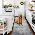3x6 Kitchen Washable Runner Rug by EISUROM