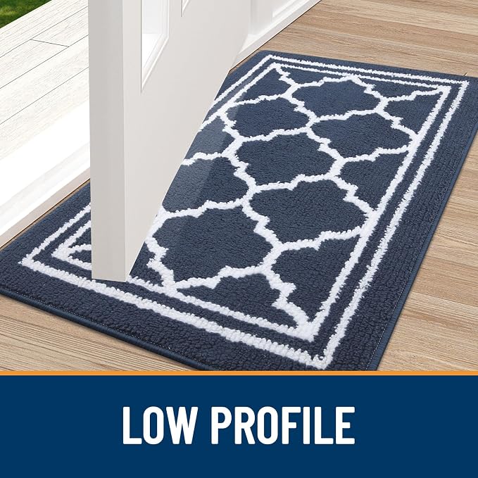 Buganda Indoor Door Mat, Dirt Resistant and Absorbent Entrance Mat, Low Profile - Image 3