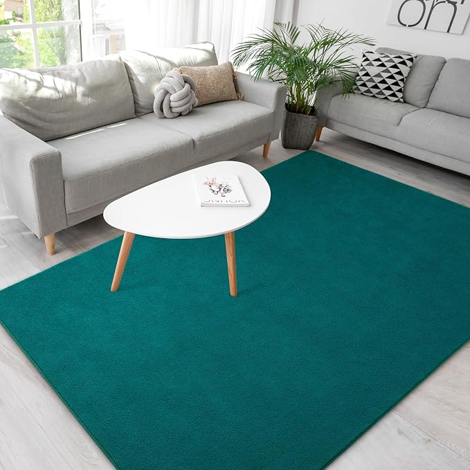 Soft Rugs for Living Room 4x6 Teal Green, Minimalist Area Rug for Bedroom by BBENRON