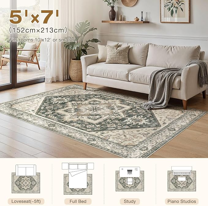 Area Rug for Living Room - Image 9