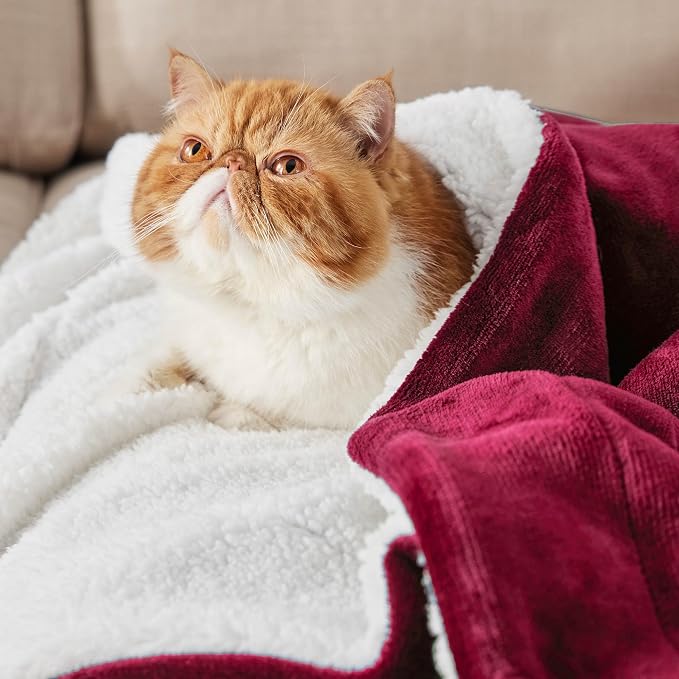 Bedsure GentleSoft Sherpa Fleece Twin Size Blanket - Image 2