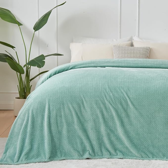 NEWCOSPLAY Super Soft Queen Blanket New Sage Green Premium Silky Flannel Fleece by NEWCOSPLAY