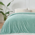 NEWCOSPLAY Super Soft Queen Blanket New Sage Green Premium Silky Flannel Fleece by NEWCOSPLAY