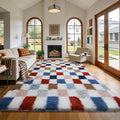 Shag Area Rug for Bedroom Living Room, 5x8 Fluffy Soft Colorful Checkered Rug by Boshengya