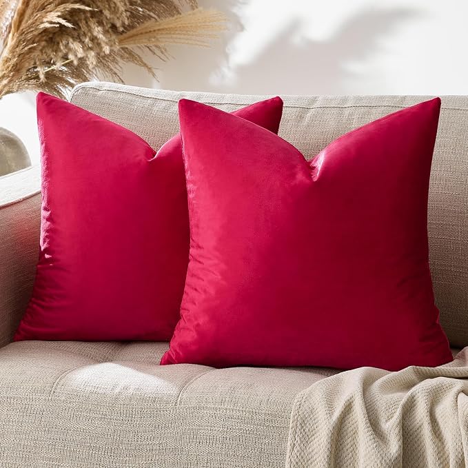 GIGIZAZA Decorative Couch Throw Pillow Covers, Pillow Cases Velvet Pillow Covers by GIGIZAZAFocusingonhomedecoration