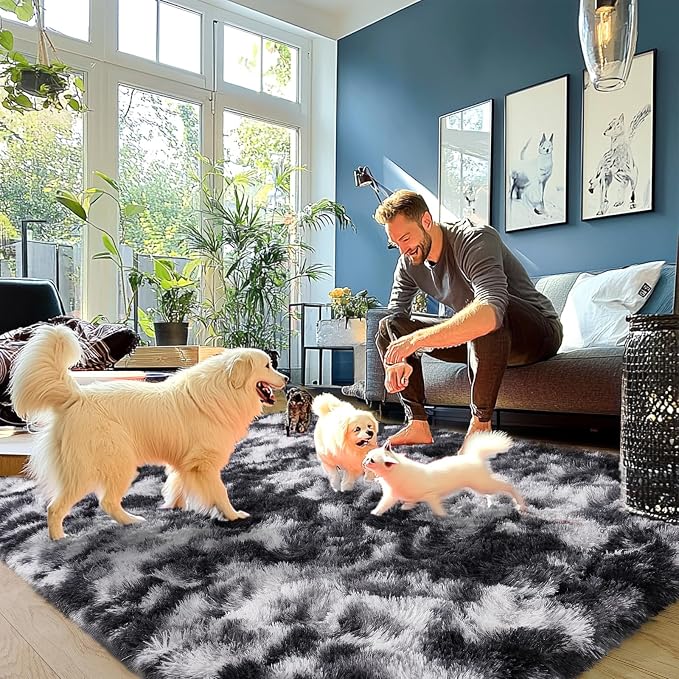 Fluffy Rug for Living Room Shaggy Area Rug High Pile Fuzzy Rug Non-Slip Indoor - Image 4