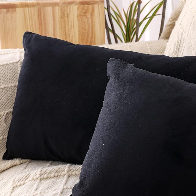 NiNi ALL Decorative Throw Pillow Covers Pack of 2 Velvet Throw Pillow Cases - Image 6