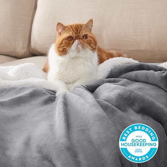 Bedsure GentleSoft Sherpa Fleece Twin Blanket - Image 3