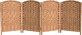 Red Lantern 2 ft. Short Diamond Weave Fiber Folding Screen by RedLantern