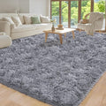 Area Rug for Living Room 6x9, Ultra Soft Shaggy Area Rugs for Bedroom, Upgrade by Unknown