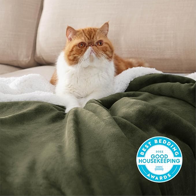 Bedsure GentleSoft Sherpa Fleece Throw Blanket - Image 2