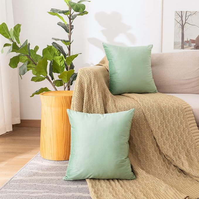 NiNi ALL Decorative Throw Pillow Covers Pack of 2, Velvet Cushion Case - Image 2