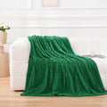 Puncuntex Flannel Fleece Throw Blanket Classic Green 50"×60", Super Soft Plush by Puncuntex
