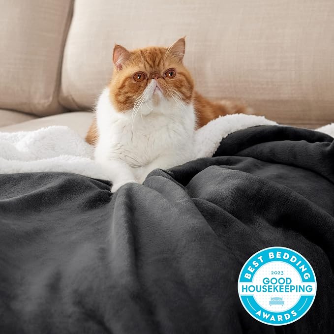 Bedsure GentleSoft Sherpa Fleece Blanket Queen Size - Image 2