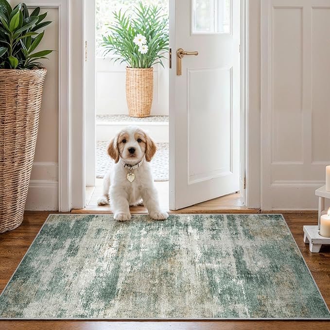 Washable Non-Slip 2x3 Area Rug - Image 2
