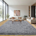 Area Rugs 9x12 Living Room, Ultra Soft Shaggy Fluffy Rug by Unknown