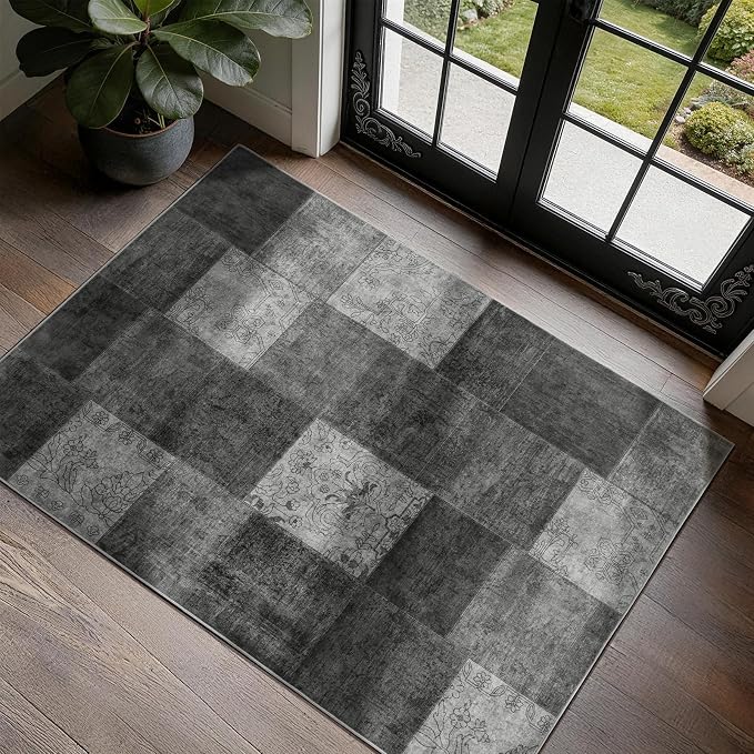 LIANLAM 2x3 Washable Entryway Rug, Non-Slip Indoor Door Mat by LIANLAM
